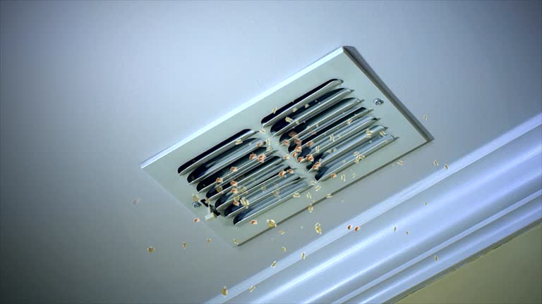Best Home Air Vent Cleaning  in Ottumwa, IA