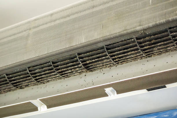 Best HVAC System Cleaning  in Ottumwa, IA